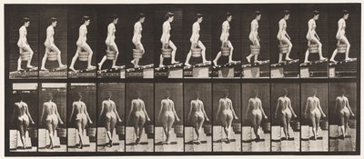 プレート83.上昇傾斜、右手に水のバケツ 作： Eadweard Muybridge