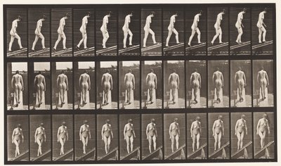 プレート85。昇順の傾斜 作： Eadweard Muybridge