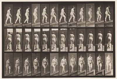 プレート86.上昇傾斜 作： Eadweard Muybridge