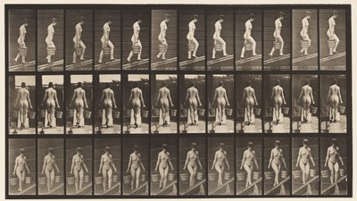 プレート87.上昇傾斜、各手のバケツ 作： Eadweard Muybridge