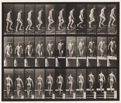 プレート88。上昇階段、1872〜1885 作： Eadweard Muybridge
