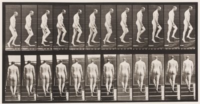 プレート89。上り階段 作： Eadweard Muybridge