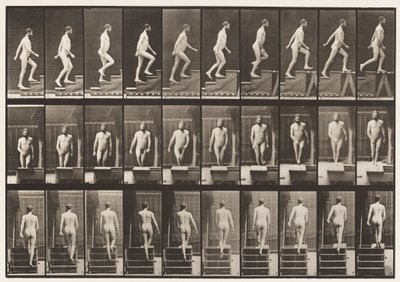 プレート90。上り階段 作： Eadweard Muybridge