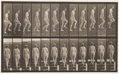 プレート92。上り階段 作： Eadweard Muybridge