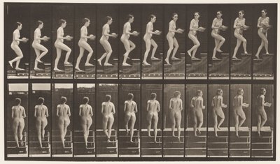 プレート94。周りを見回す上昇階段。手の中の盆地 作： Eadweard Muybridge