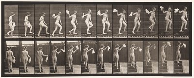 プレート96。周りを見回す上昇階段。ハンカチを振る 作： Eadweard Muybridge