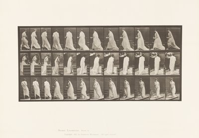 プレート97。ピッチャーとゴブレットを手に、階段を上る。 作： Eadweard Muybridge