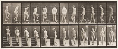 プレート98.ターンとアセンディングの階段、1872〜1885 作： Eadweard Muybridge