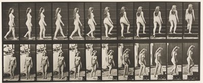 プレート99。階段の曲がりと上昇 作： Eadweard Muybridge