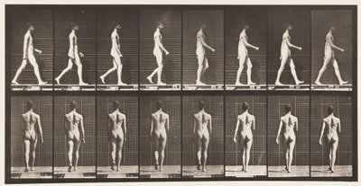 プレート9.ウォーキング、1872-1885 作： Eadweard Muybridge