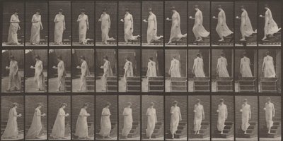  作： Eadweard Muybridge
