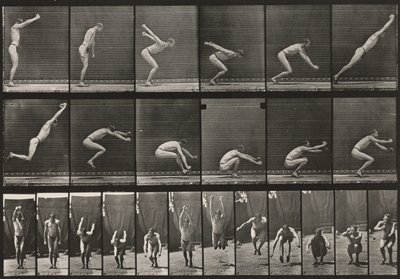  作： Eadweard Muybridge