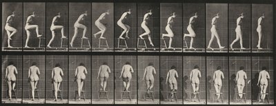 プレートNo.180 椅子の踏ん張り 作： Eadweard Muybridge