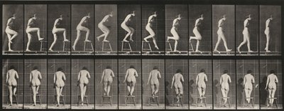  作： Eadweard Muybridge