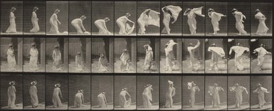  作： Eadweard Muybridge