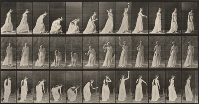  作： Eadweard Muybridge