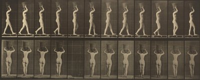 プレート番号34。両手を挙げ、15ポンドのバスケットを頭に載せて歩く1887年（写真）。 作： エドワード・マイブリッジ