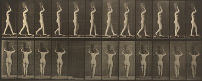 プレート番号 34。15 ポンドを歩いて運ぶ。 バスケットを頭にのせ、手を上げた 作： Eadweard Muybridge