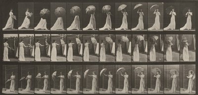  作： Eadweard Muybridge