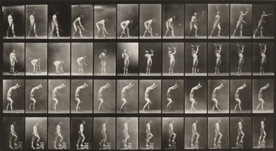  作： Eadweard Muybridge