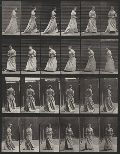  作： Eadweard Muybridge