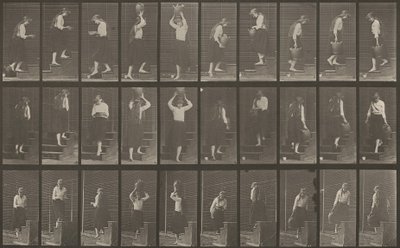 プレートNo.504。階段の上り下り 作： Eadweard Muybridge