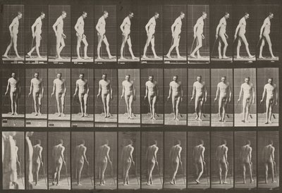 作： Eadweard Muybridge