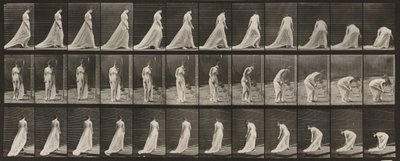  作： Eadweard Muybridge