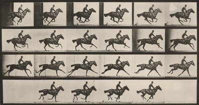  作： Eadweard Muybridge