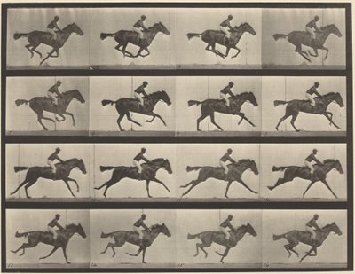  作： Eadweard Muybridge