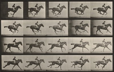  作： Eadweard Muybridge