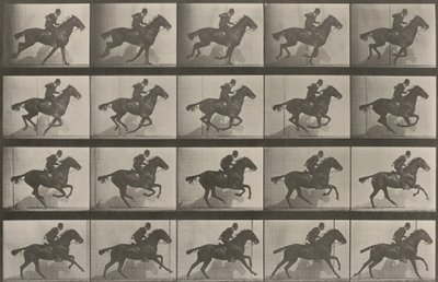  作： Eadweard Muybridge