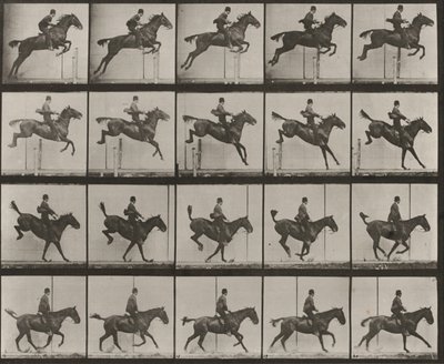  作： Eadweard Muybridge