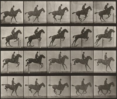  作： Eadweard Muybridge