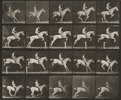  作： Eadweard Muybridge