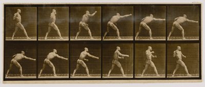 ピュージリストの一撃（『Animal Locomotion』より 作： Eadweard Muybridge