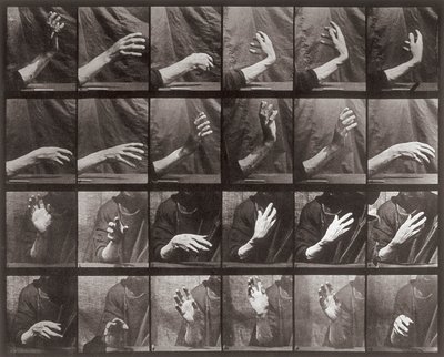 手の動きのシーケンス、Animal Locomotion（コロタイプ）のプレート535 作： Eadweard Muybridge