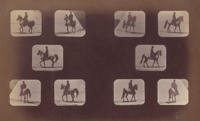 短縮の研究。 馬。 歩く。 マホメット。 第119号～第120号 作： Eadweard Muybridge