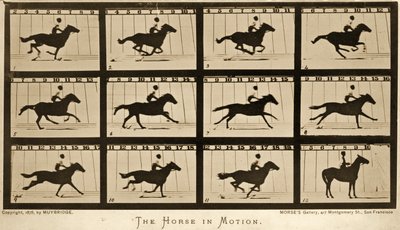 動く馬、「動物の移動」シリーズ、1878年 作： Eadweard Muybridge