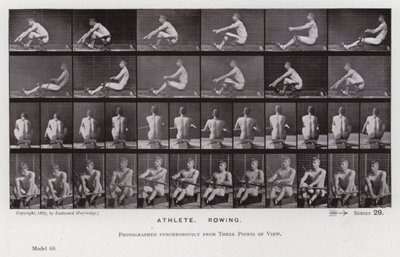 動く人間の姿。アスリート、ローイング（モノクロ写真 作： Eadweard Muybridge