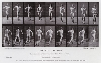 動いている人間の姿。アスリート、ウォーキング（モノクロ写真 作： Eadweard Muybridge