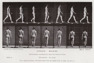 動いている人間の姿。アスリート、ウォーキング（モノクロ写真 作： Eadweard Muybridge