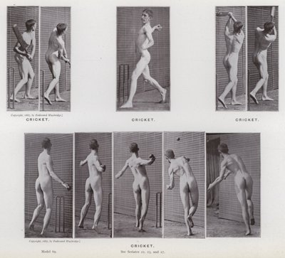動く人間の姿。クリケット（モノクロ写真 作： Eadweard Muybridge