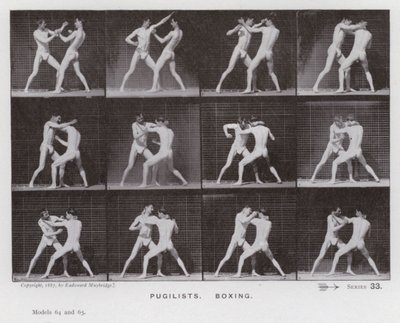 動いている人間の姿。闘士、ボクシング（モノクロ写真 作： Eadweard Muybridge