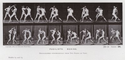 動いている人間の姿。闘士、ボクシング（モノクロ写真 作： Eadweard Muybridge