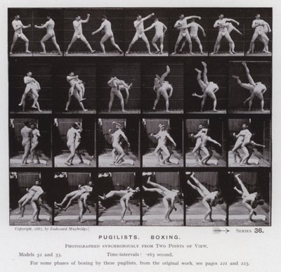 動いている人間の姿。闘士、ボクシング（モノクロ写真 作： Eadweard Muybridge