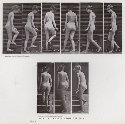 動きのある人間像。シリーズ41からの選択段階（モノクロ写真 作： Eadweard Muybridge