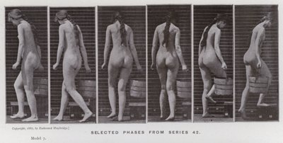 動きのある人間の姿。シリーズ42からの選択段階（モノクロ写真 作： Eadweard Muybridge