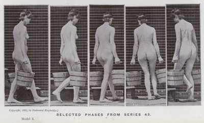 動きのある人間像。シリーズ43からの選択段階（モノクロ写真 作： Eadweard Muybridge