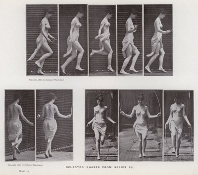 動きのある人間の姿。シリーズ53からの選択段階（モノクロ写真 作： Eadweard Muybridge